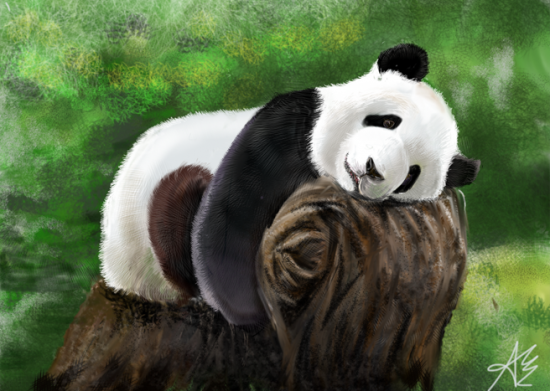 Illustrated with XStylus Touch on iPad | Panda by Ariel Yune